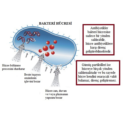 Nano-Ag Solüsyonları